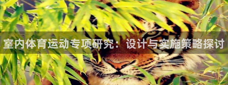 谈球吧体育官网：室内体育运动专项研究：设计与实施策略探讨