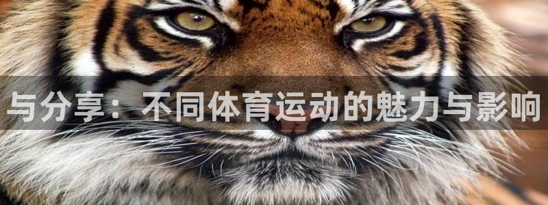 谈球吧体育：与分享：不同体育运动的魅力与影响