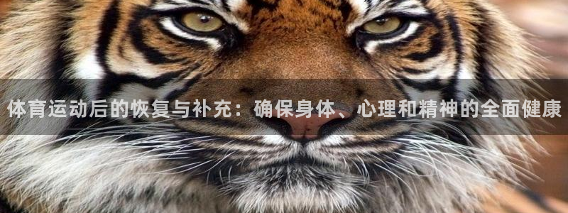 谈球吧体育：体育运动后的恢复与补充：确保身体、心理和精神的全面健康