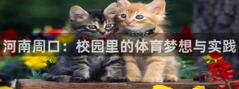 谈球吧体育：河南周口：校园里的体育梦想与实践