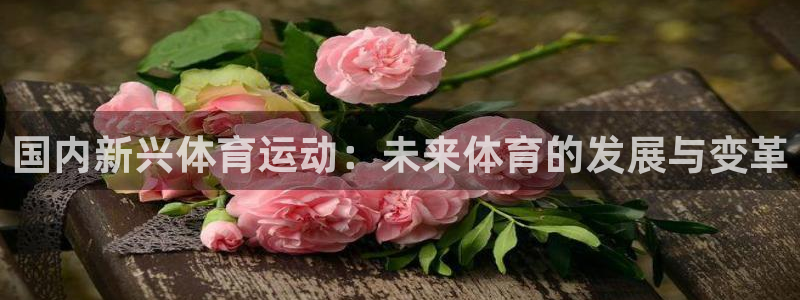 谈球吧：国内新兴体育运动：未来体育的发展与变革