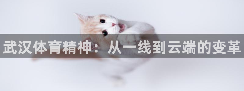 谈球吧体育：武汉体育精神：从一线到云端的变革