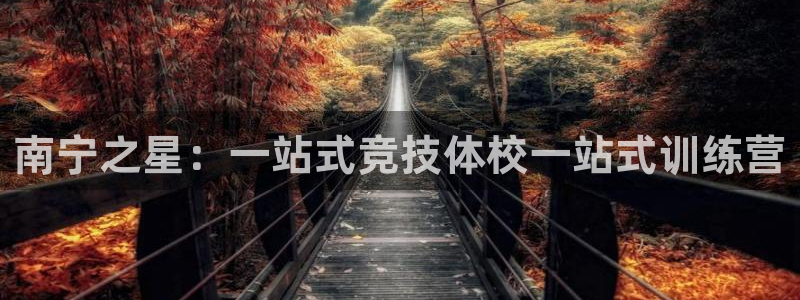 谈球吧：南宁之星：一站式竞技体校一站式训练营