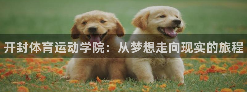 谈球吧体育：开封体育运动学院：从梦想走向现实的旅程