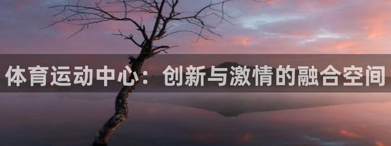 谈球吧体育：体育运动中心：创新与激情的融合空间