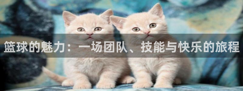 谈球吧体育官网：篮球的魅力：一场团队、技能与快乐的旅程